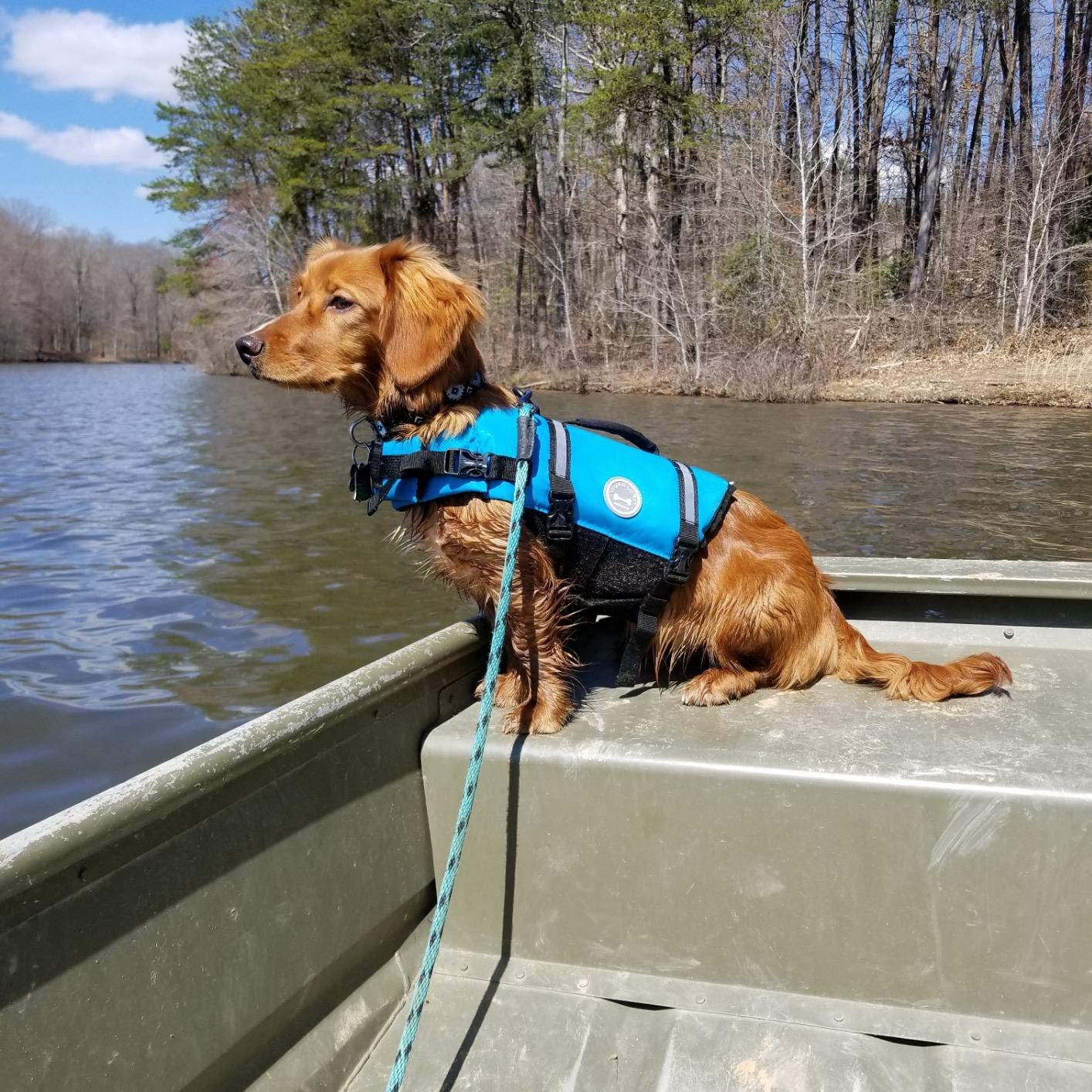 Rip Stop Dog Life Vest, Swimming Vest with Handle, Buoyancy for Doggy Puppy, Dog Life Jacket for Swimming & Boating, M, Blue