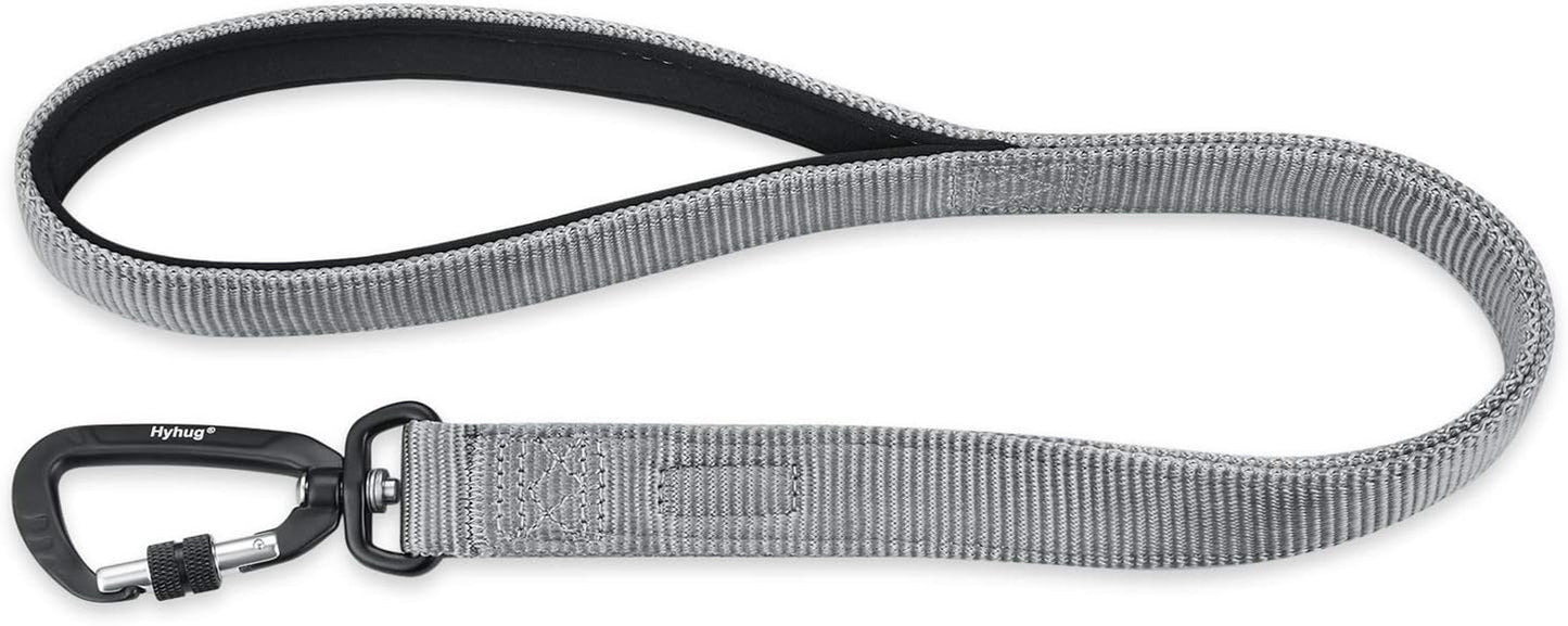 Pets 24 Inches Heavy Duty Short Leash with Comfortable Handle and Lightweight Aviation Aluminium Clip Lead- for Large Medium Dogs Daily Walking and Training. (24 Inches, Sleet Gray)