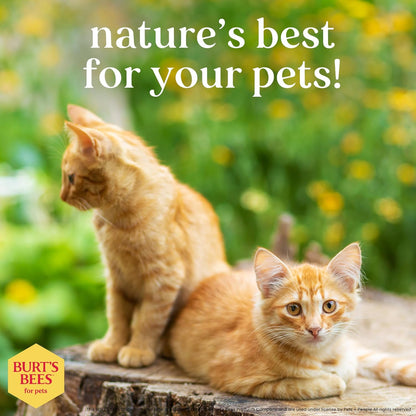Hypoallergenic Shampoo for Cats with Shea Butter and Honey, 99.7% Natural Origin Formulas, Pet Cleanser for Cats, Gentle Feline Wash Itchy Skin, 2Pk, 10 Oz