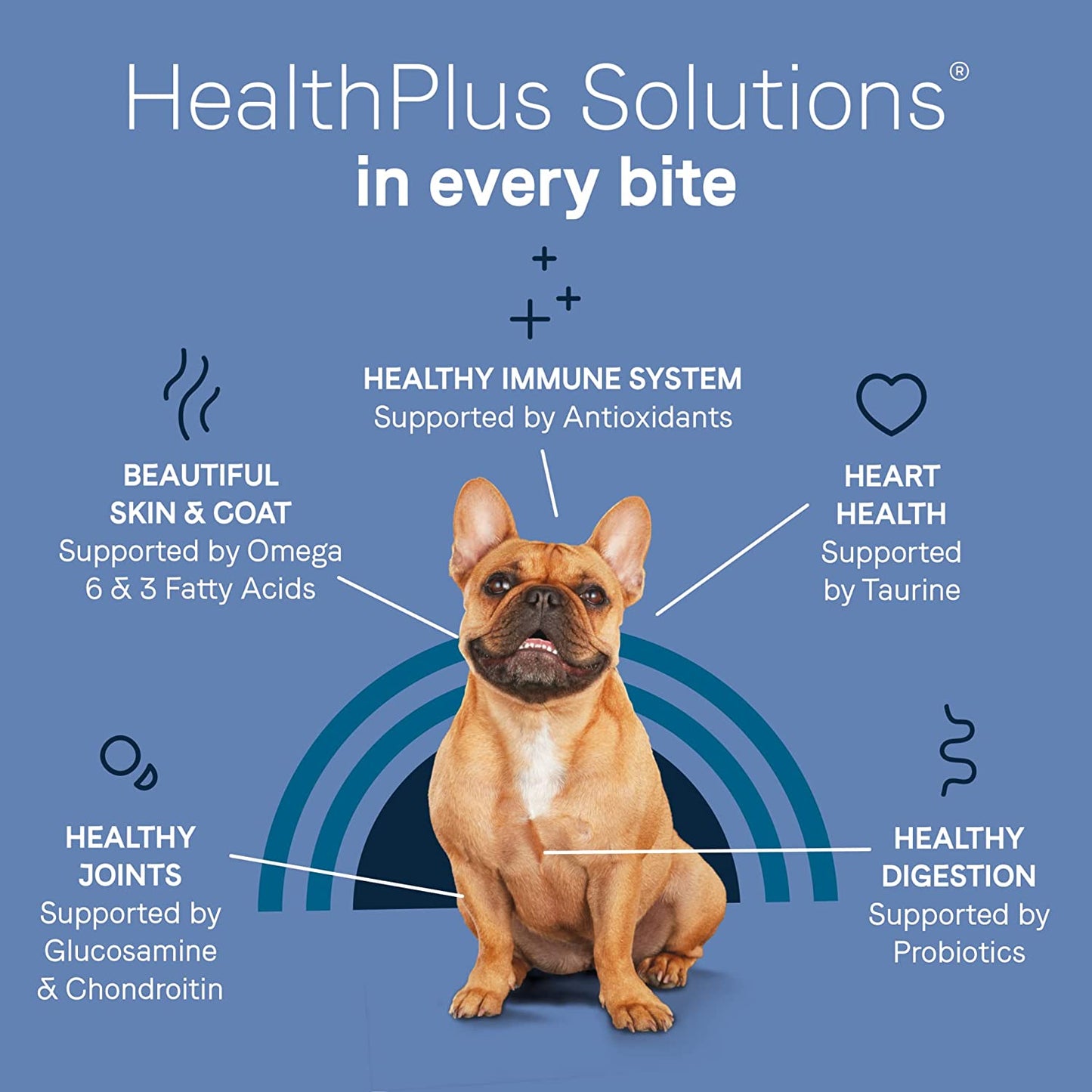 Pure Petite Premium Freeze-Dried Raw Coated Dog Food for Small Breeds, Real Salmon Recipe, 4 Lbs, Grain Free