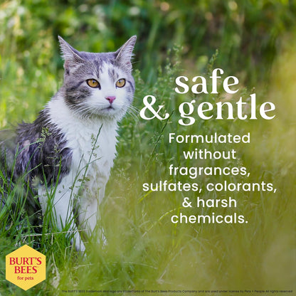 Hypoallergenic Shampoo for Cats with Shea Butter and Honey, 99.7% Natural Origin Formulas, Pet Cleanser for Cats, Gentle Feline Wash Itchy Skin, 2Pk, 10 Oz