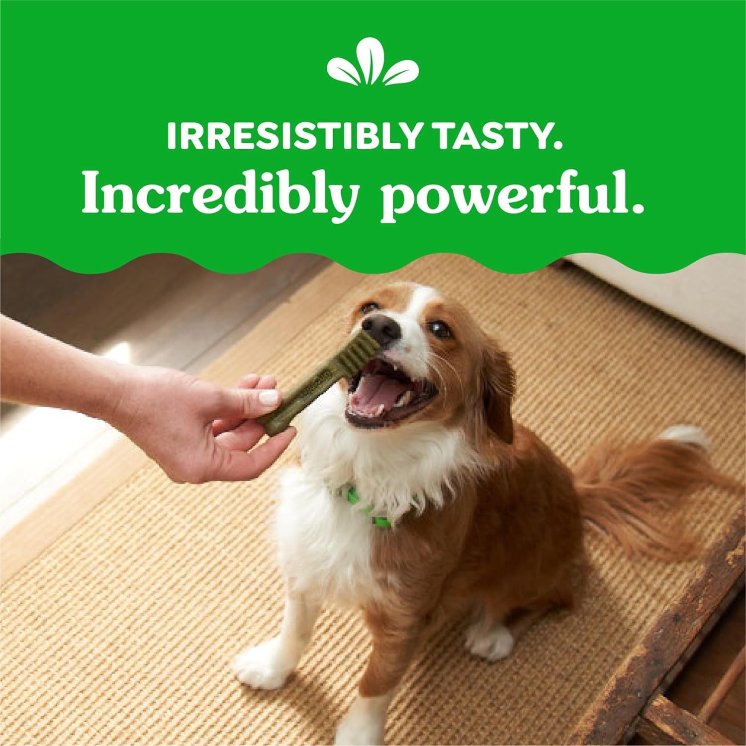 Original Petite Dental Dog Treats, 36 Oz. Pack (60 Treats)