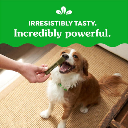 Original Petite Dental Dog Treats, 36 Oz. Pack (60 Treats)