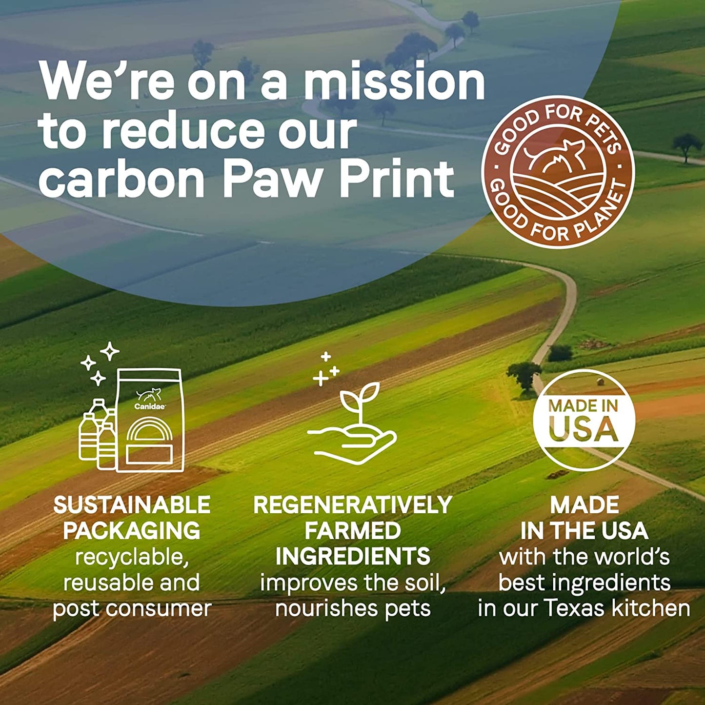 Pure Petite Premium Freeze-Dried Raw Coated Dog Food for Small Breeds, Real Salmon Recipe, 4 Lbs, Grain Free