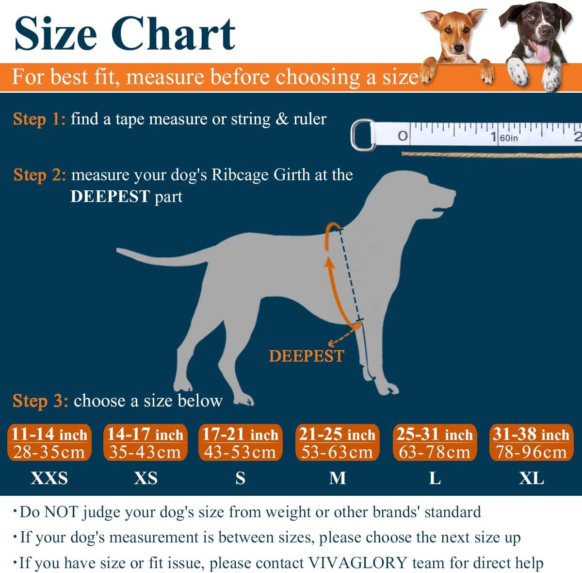 Rip Stop Dog Life Vest, Swimming Vest with Handle, Buoyancy for Doggy Puppy, Dog Life Jacket for Swimming & Boating, M, Blue