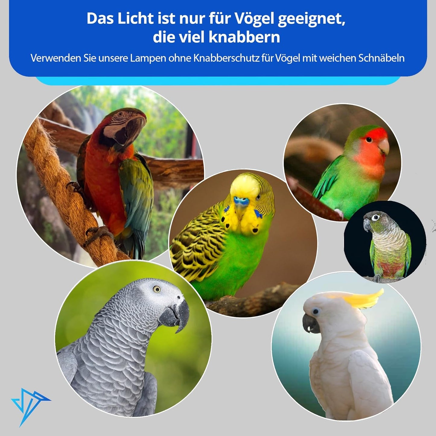 Happybird Lighting Bird Cage Light with Chew Guard - Full Spectrum LED Pet Light - Simulates Natural Environment - Safe for Hookbill Birds – Easy to Install - (18" Long)