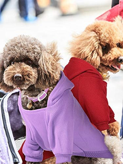 4-Piece Small Dog Clothes Set: Winter Hoodies with Hat, Coat, Sweater & Shirt (XXS) for Chihuahuas and Small Dogs